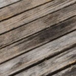 Meet your Posher, Sabrina